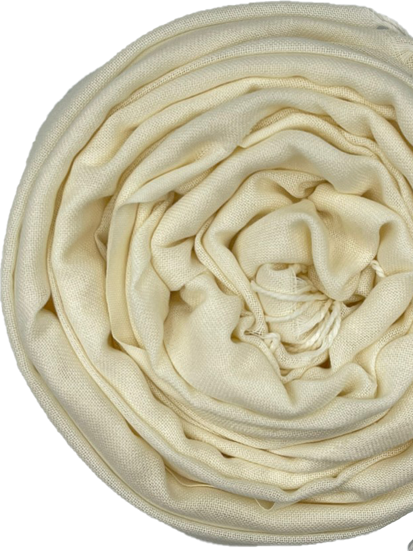 Pashmina - Ivory - Hijab Boutique